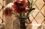 19朵玫瑰花语，浪漫永恒的爱情告白
