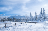 荒原雪：美丽而残酷的自然景观
